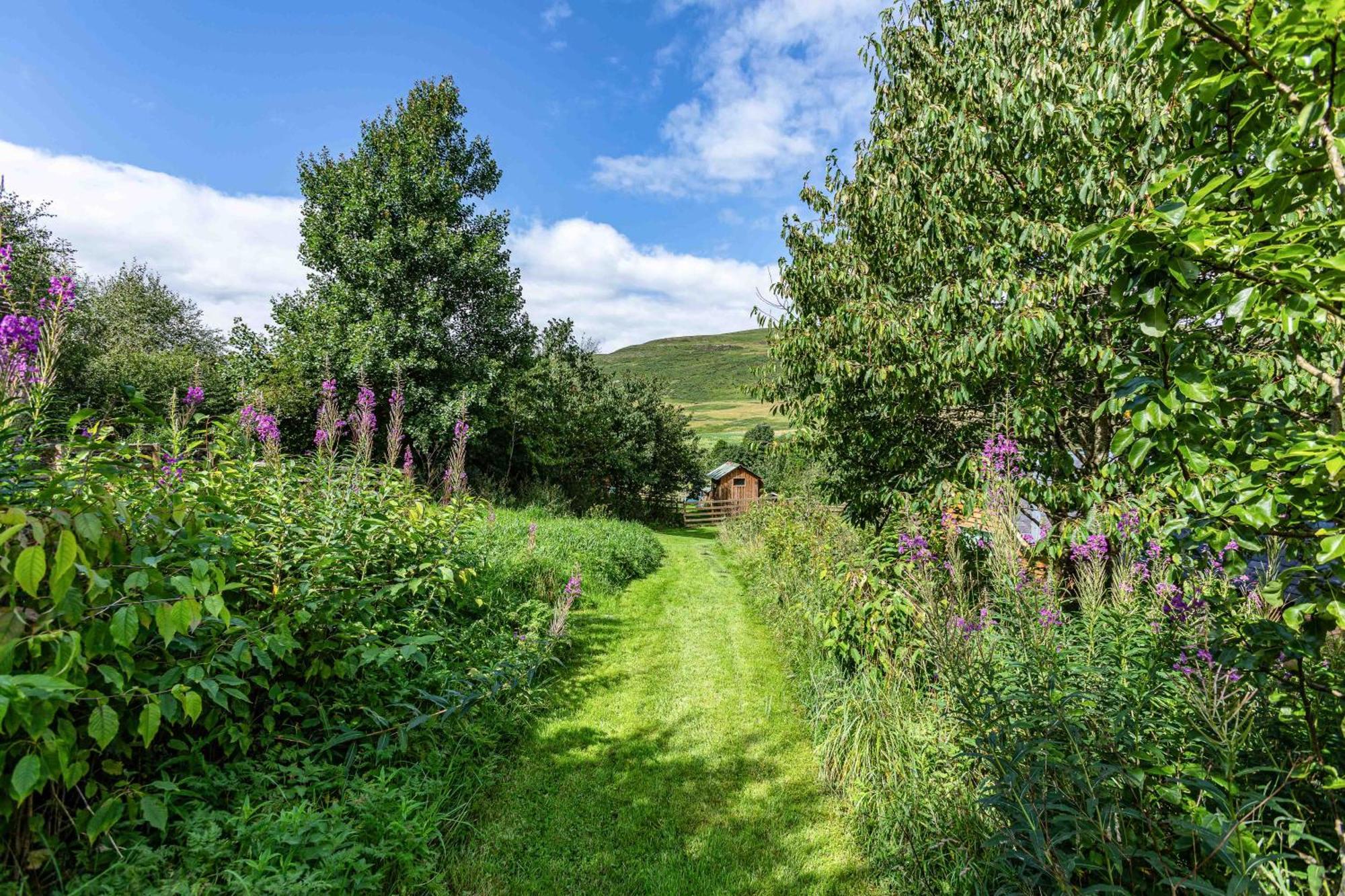 The Barn At Dormouse Cottage Selkirk Exterior photo